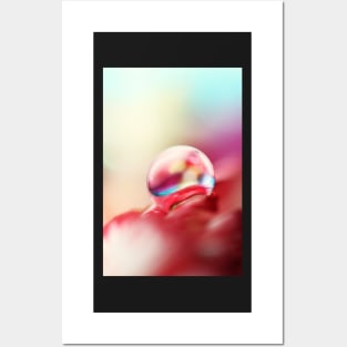 Dreamy Droplet Posters and Art